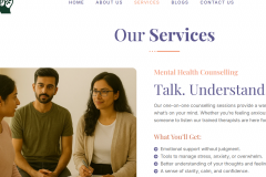 WordPress Website Development - Healthymann